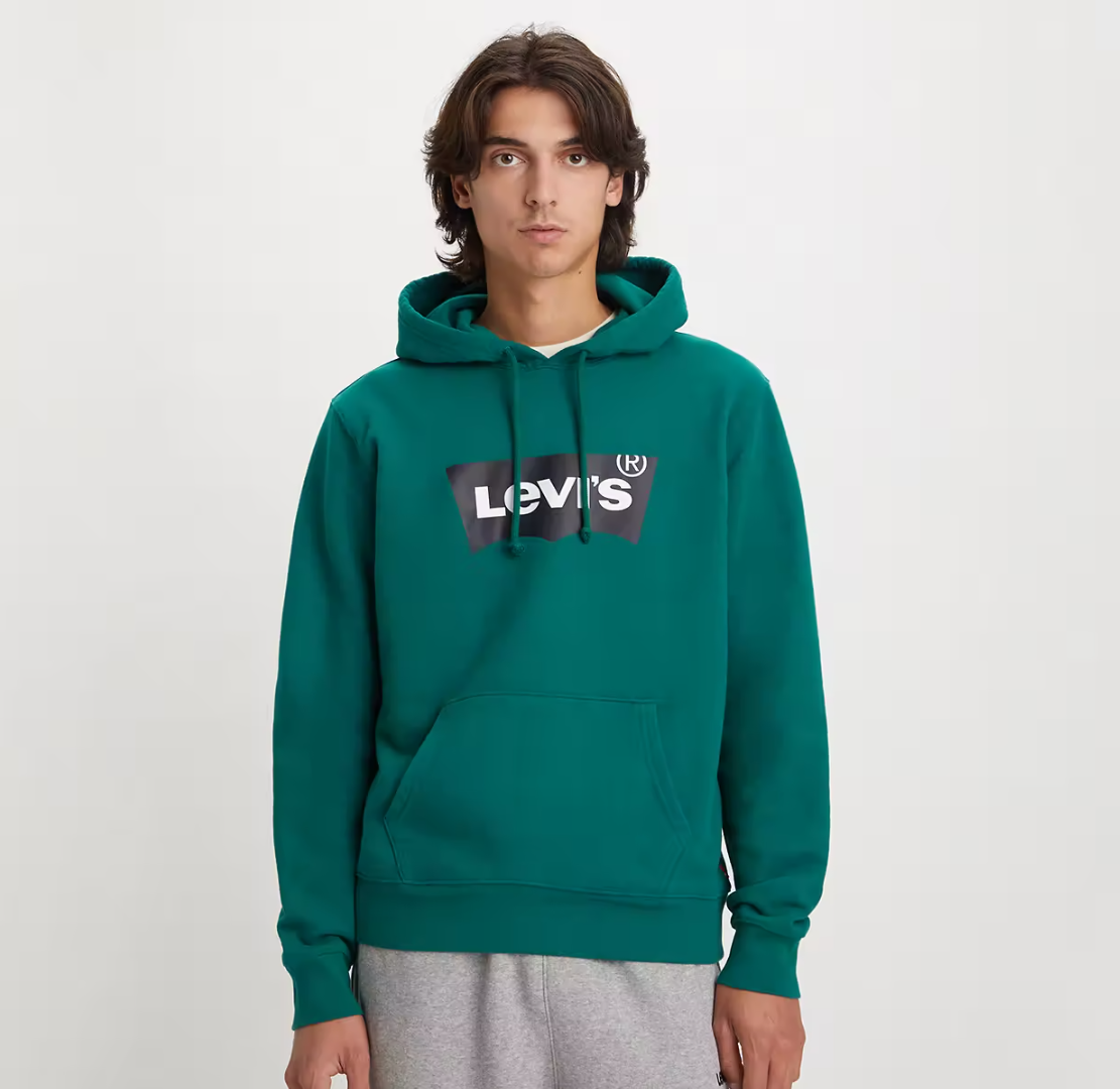Levi's Standard Graphic Hoodie - Evergreen - Hores Stores