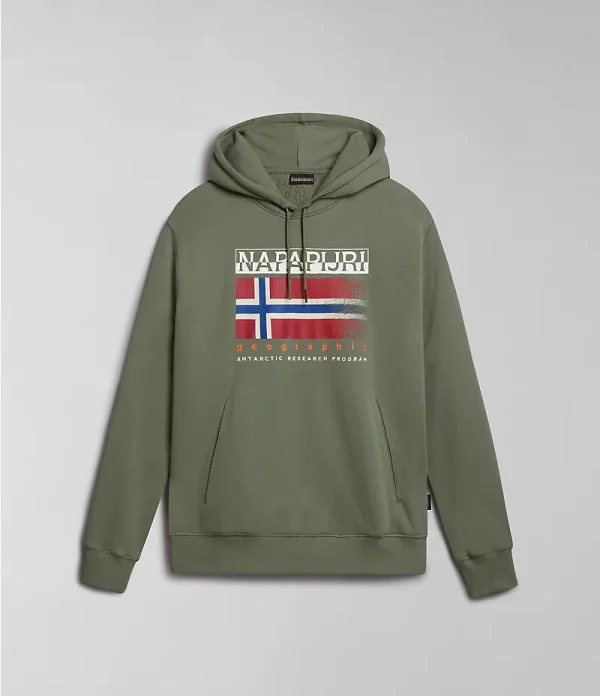 Napapijri Kreis Hoodie - Green Lichen