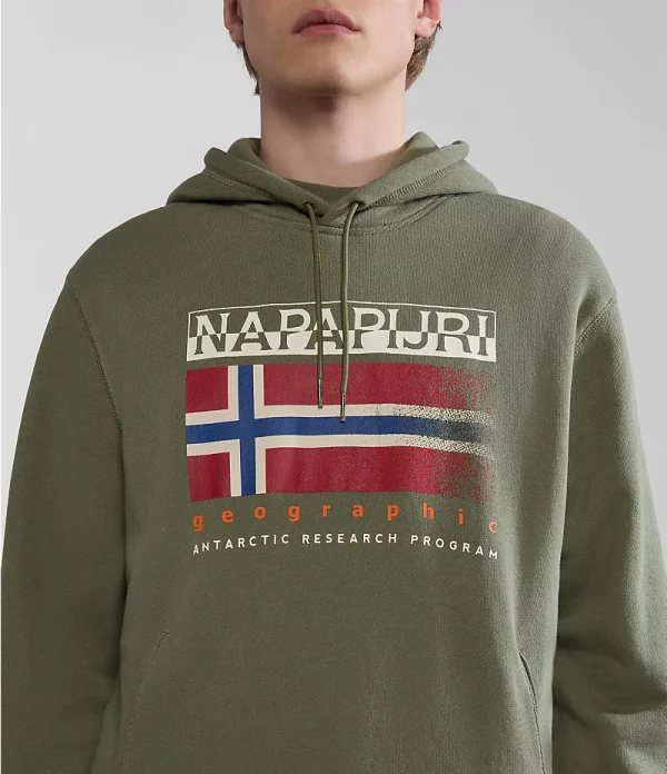 Napapijri Kreis Hoodie - Green Lichen - Image 3