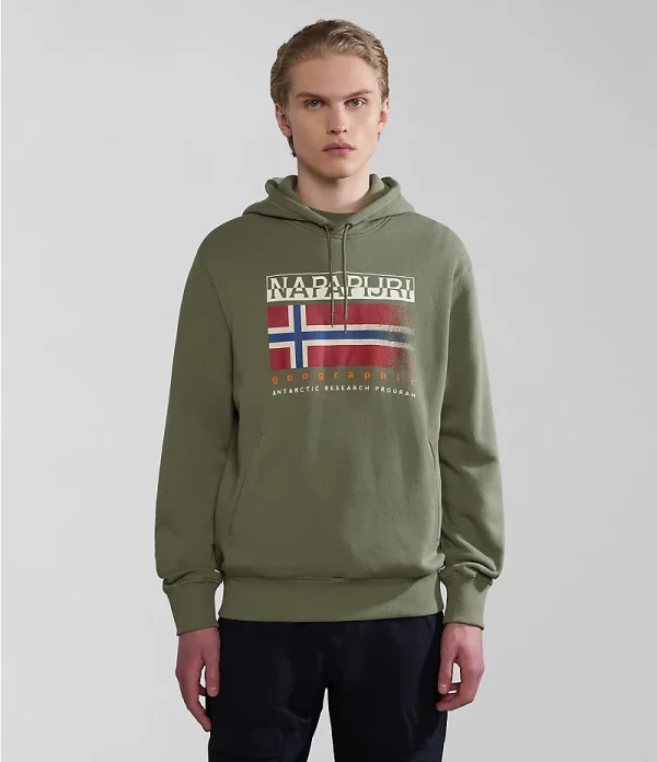 Napapijri Kreis Hoodie - Green Lichen - Image 2