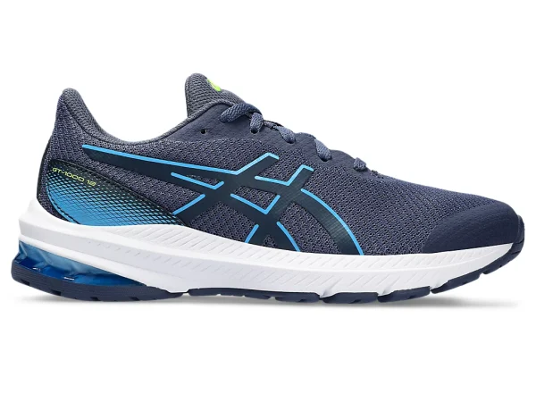 Asics GT-1000 12 GS - Thunder Blue/French Blue